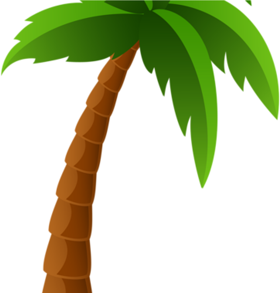 Palm Clipart Palm Tree Png Image Clipart Graphics Pinterest - Cartoon Palm Tree Png (1024x1024)