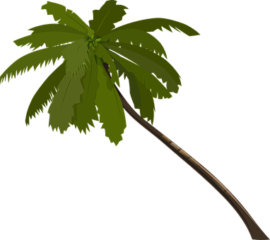 Palm Tree Fronds Trunk Alone Branches Wind - Jungle Trees Clip Art (382x340)