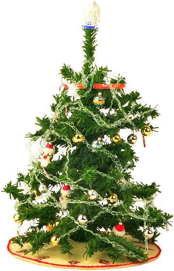 Natalie Said She Is Offering A Free Christmas Dinner - Christmas Day (360x558)