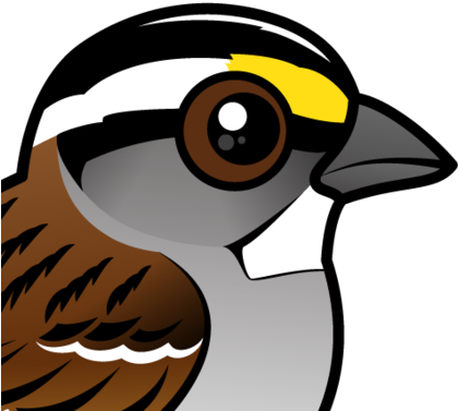 About The White-throated Sparrow - White-throated Sparrow Keychain, Adult Unisex, Size: (440x440)