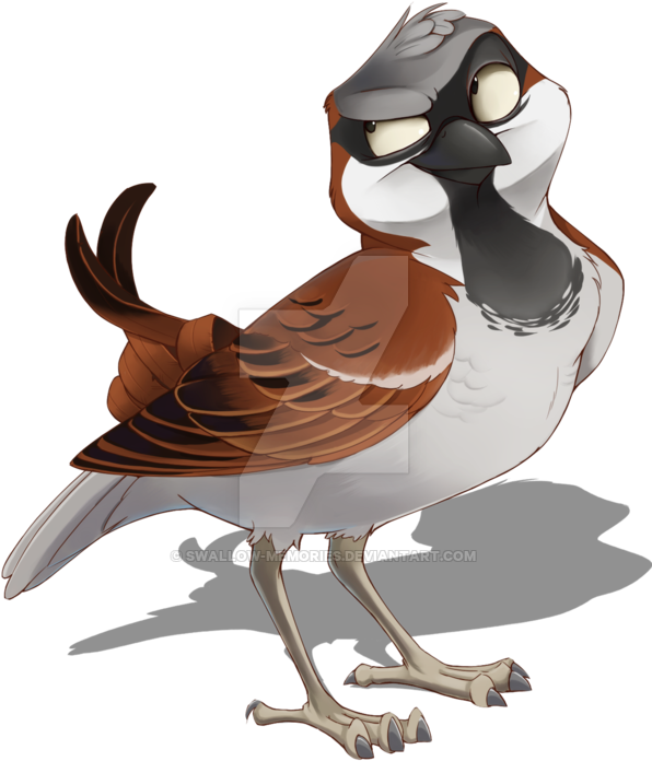 Joey, The Evil Sparrow - Turkey (600x733)