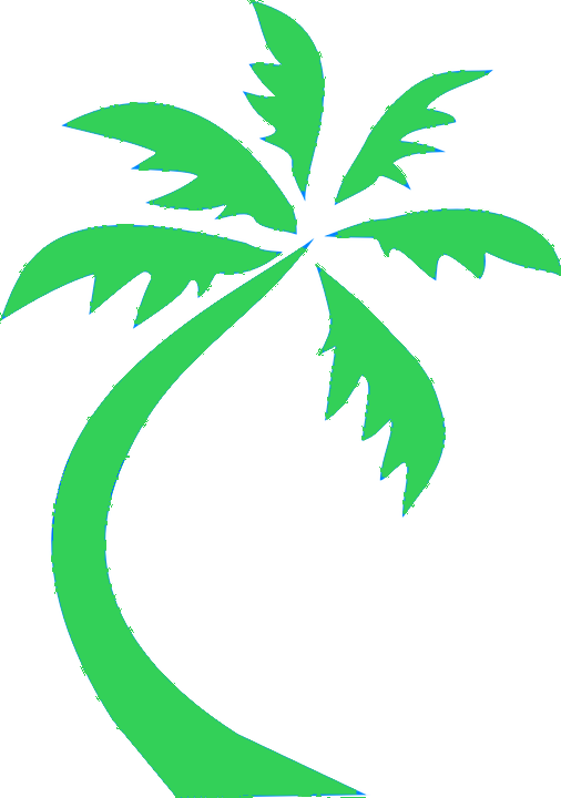Palmtree - (sjt02515) Going To My Happy Place. Be Back Never (palm (506x720)