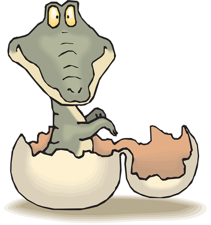 Hatch Baby, Cartoon, Egg, Shell, Hatching, Alligator, - Egg Hatching Clipart (675x720)