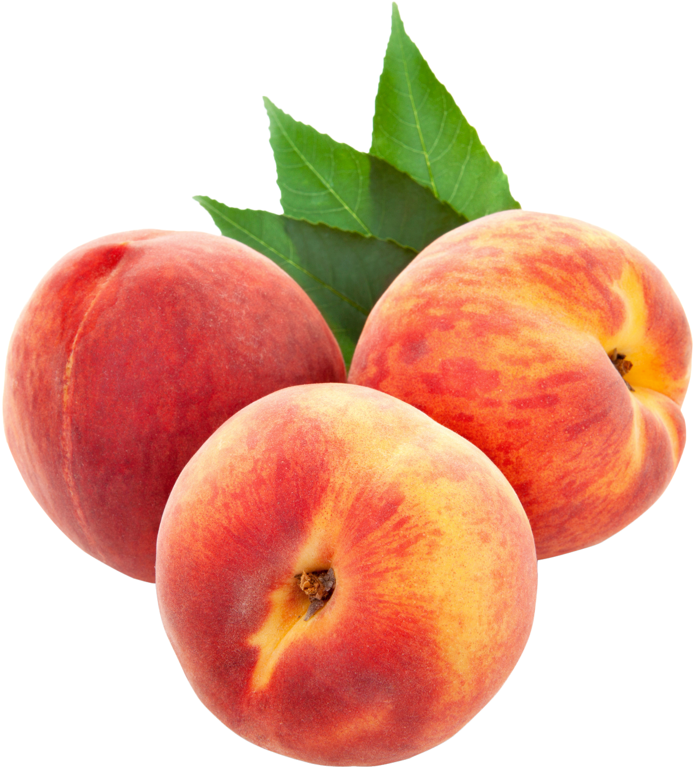 Peach Clipart Single Fruit - Peaches Png (2500x2721)