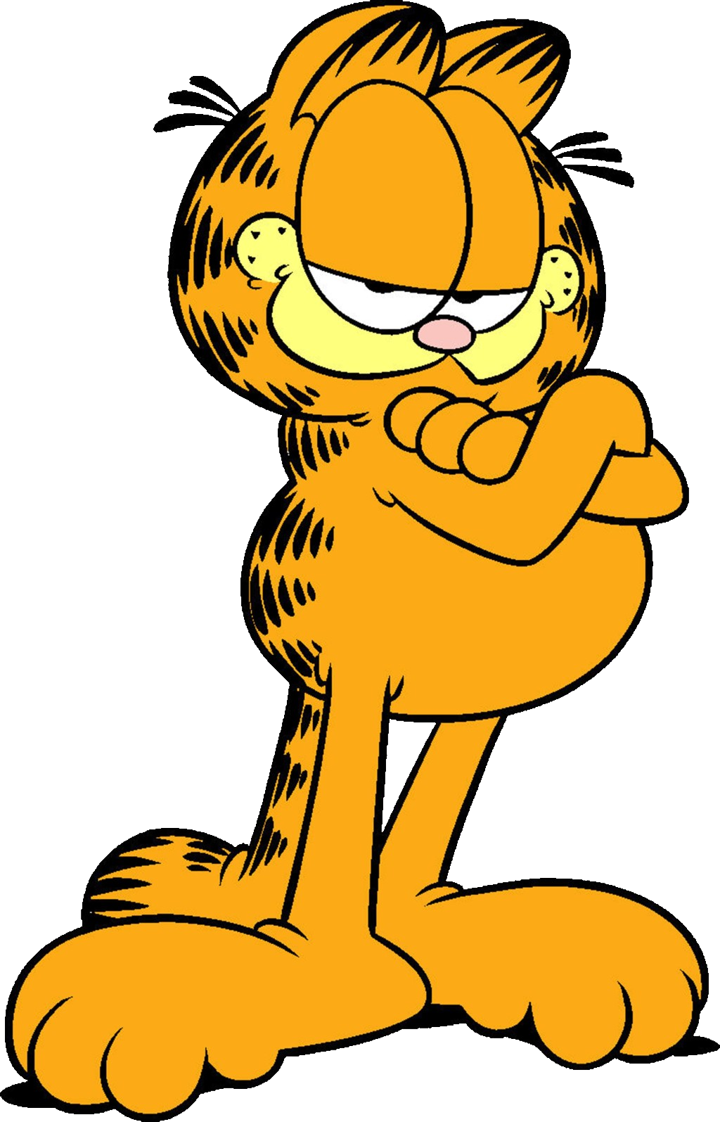 The Animal Characters - Garfield Cartoon Cats (1024x1595)
