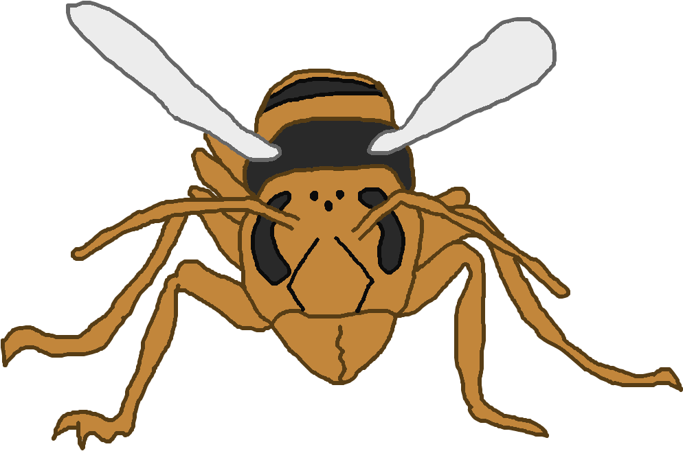 Sparrow Osumzumebachi By Chalkbugs - Sparrow (1024x768)