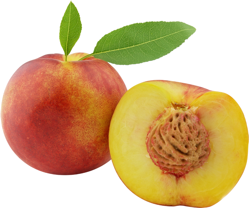 Nectarine Clipart Georgia Peach - Peach Clipart (816x674)