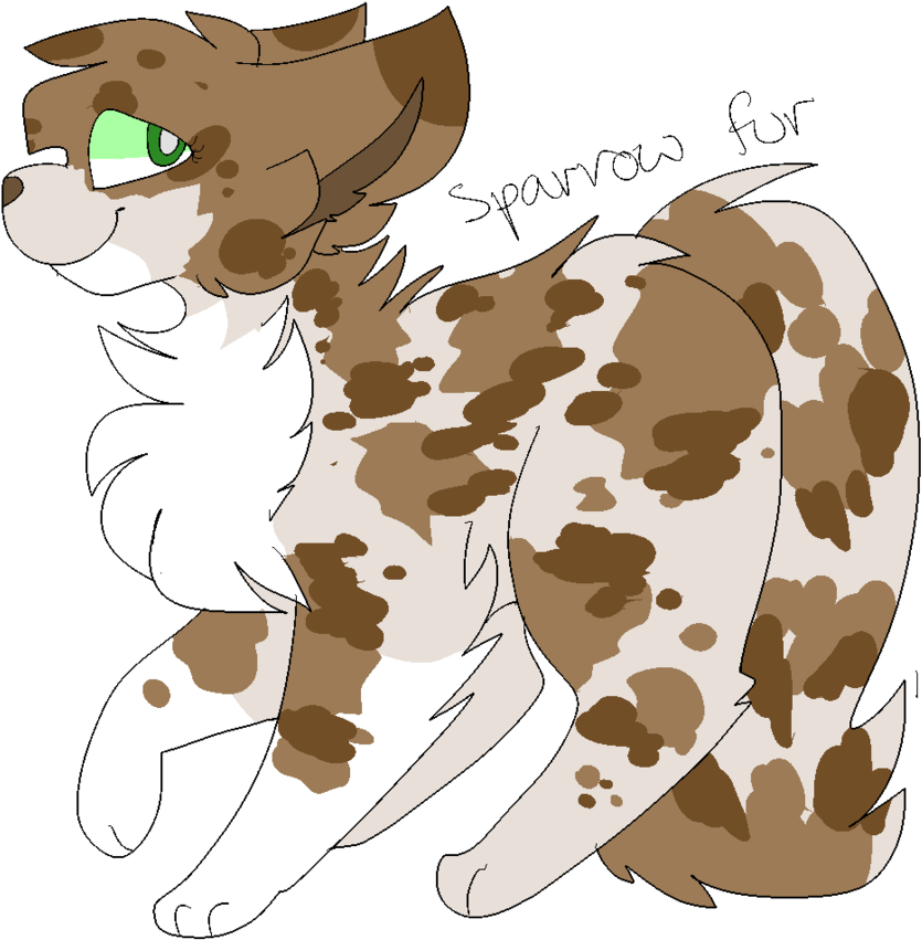 Sparrow Fur By Nixght - Sparrow Fur By Nixght (894x894)