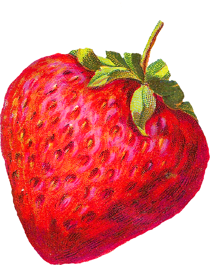 The Fruit Images Would Be Awesome Design Elements For - Vintage Strawberry Clip Art (1200x1329)