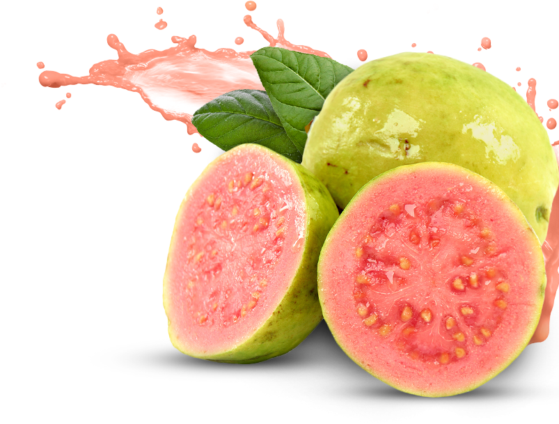 Download Guava Free Png Photo Images And Clipart - Guava Fruit (803x609)