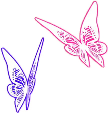 Two Butterflies Render 1 By 17reshiram - Rendering (456x544)