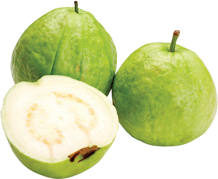 Download Guava Free Png Photo Images And Clipart - Tell If A Guava Is Ripe (456x400)