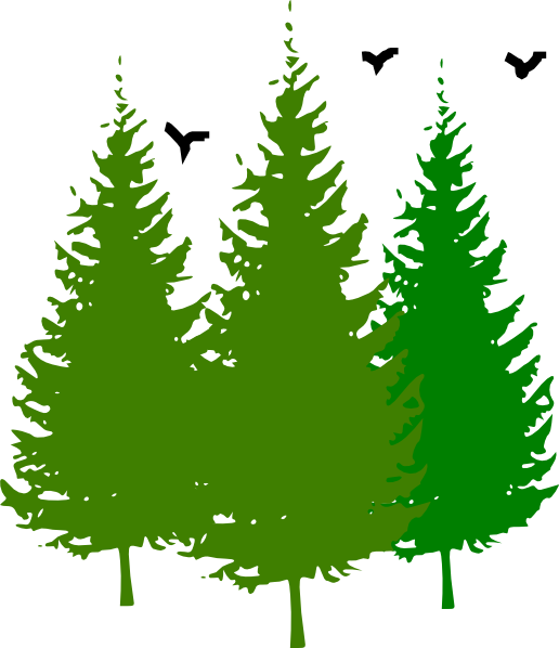 Pine Tree Clipart Tress - Pine Tree Clipart Free (516x598)