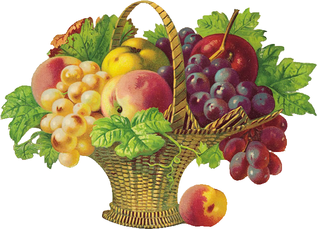 Basket Of Fruit - Get Well Soon Fruits (650x478)
