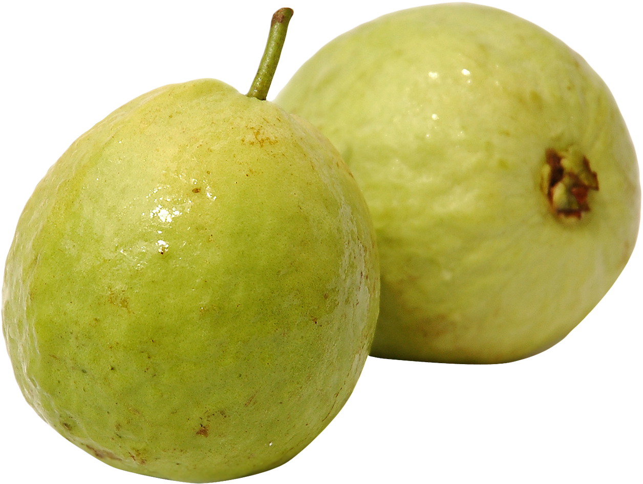 Guava Clipart Yellow Fruit - Guava Png (1397x1064)