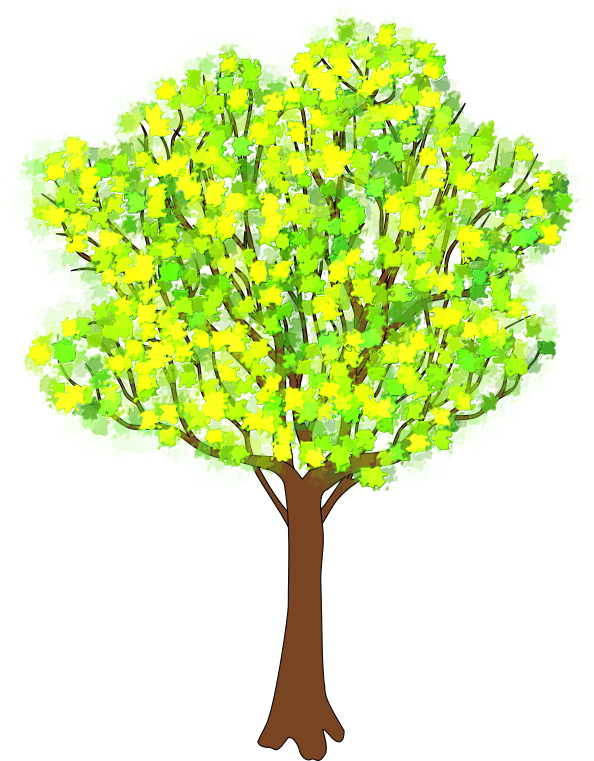 Medium Image - Spring Tree Drawings (694x800)