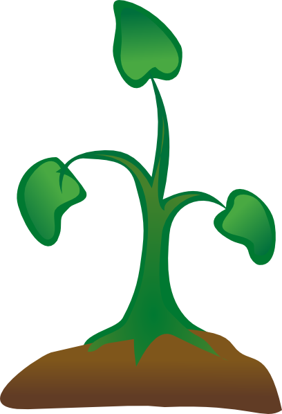 Tree Sapling Clip Art - Sapling Clipart Png (408x598)