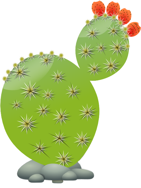 Free To Use & Public Domain Cactus Clip Art - Prickly Pear Clip Art (555x692)