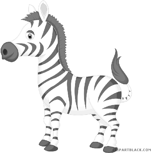 Baby Zebra Animal Free Black White Clipart Images Clipartblack - Zebra Cartoon (500x500)