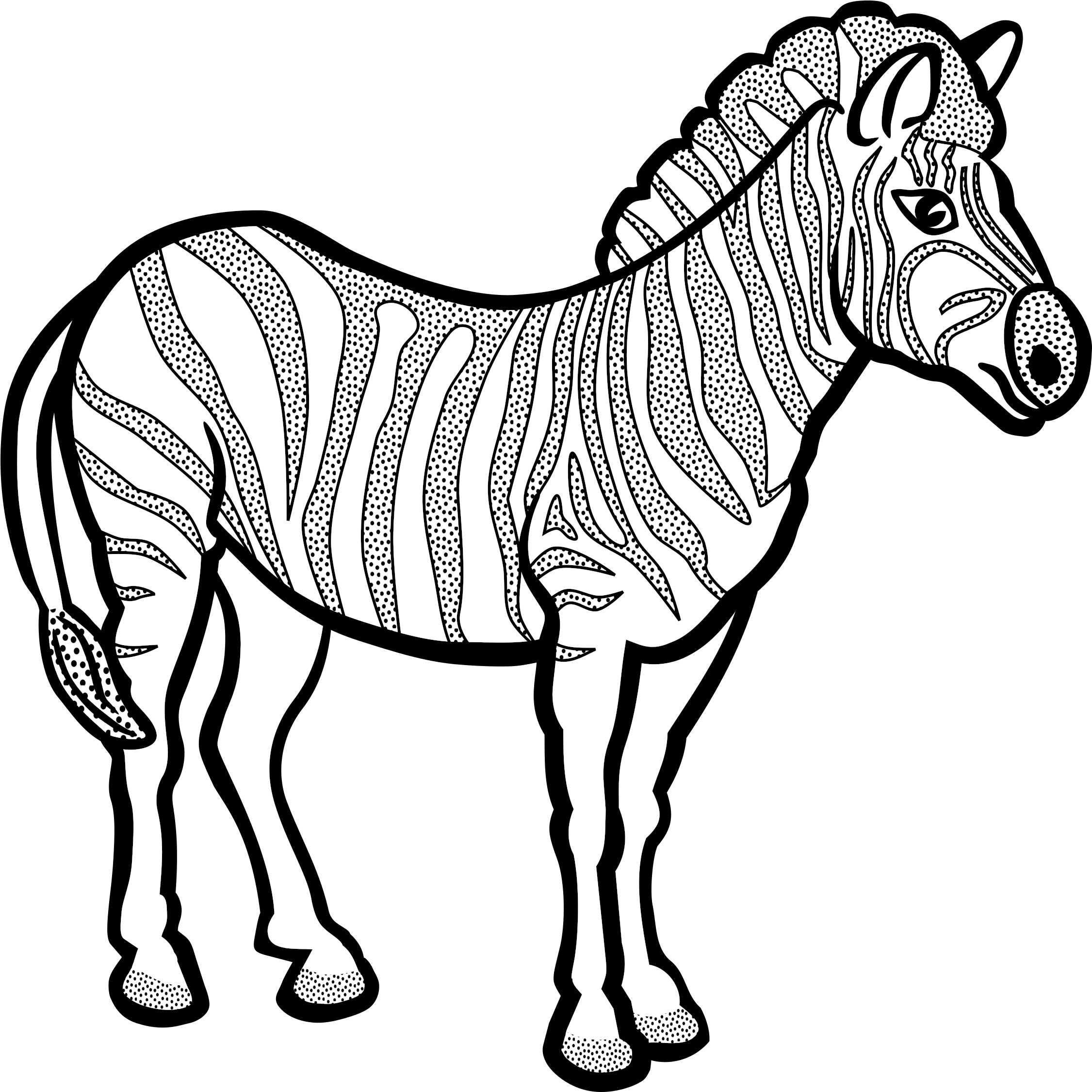 Big Image - Zebra Line Art (2400x2400)