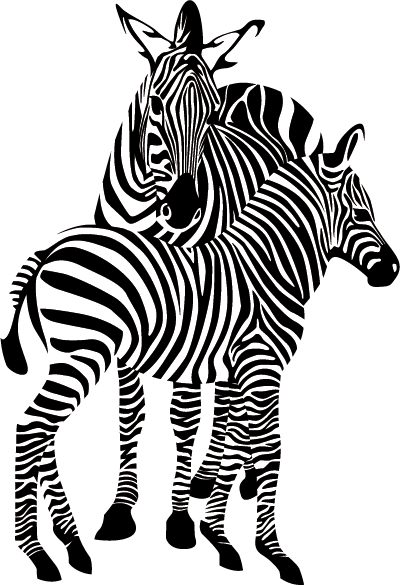 Zebra Png Image - Everyday Mathematics, Grades 4-6, Facts Table Poster (400x585)