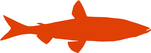 Salmon (512x512)