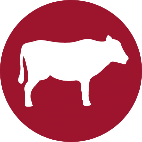 Halo Uses Only Real Whole Meat, Poultry, Or Fish, And - Dairy Cow (600x600)