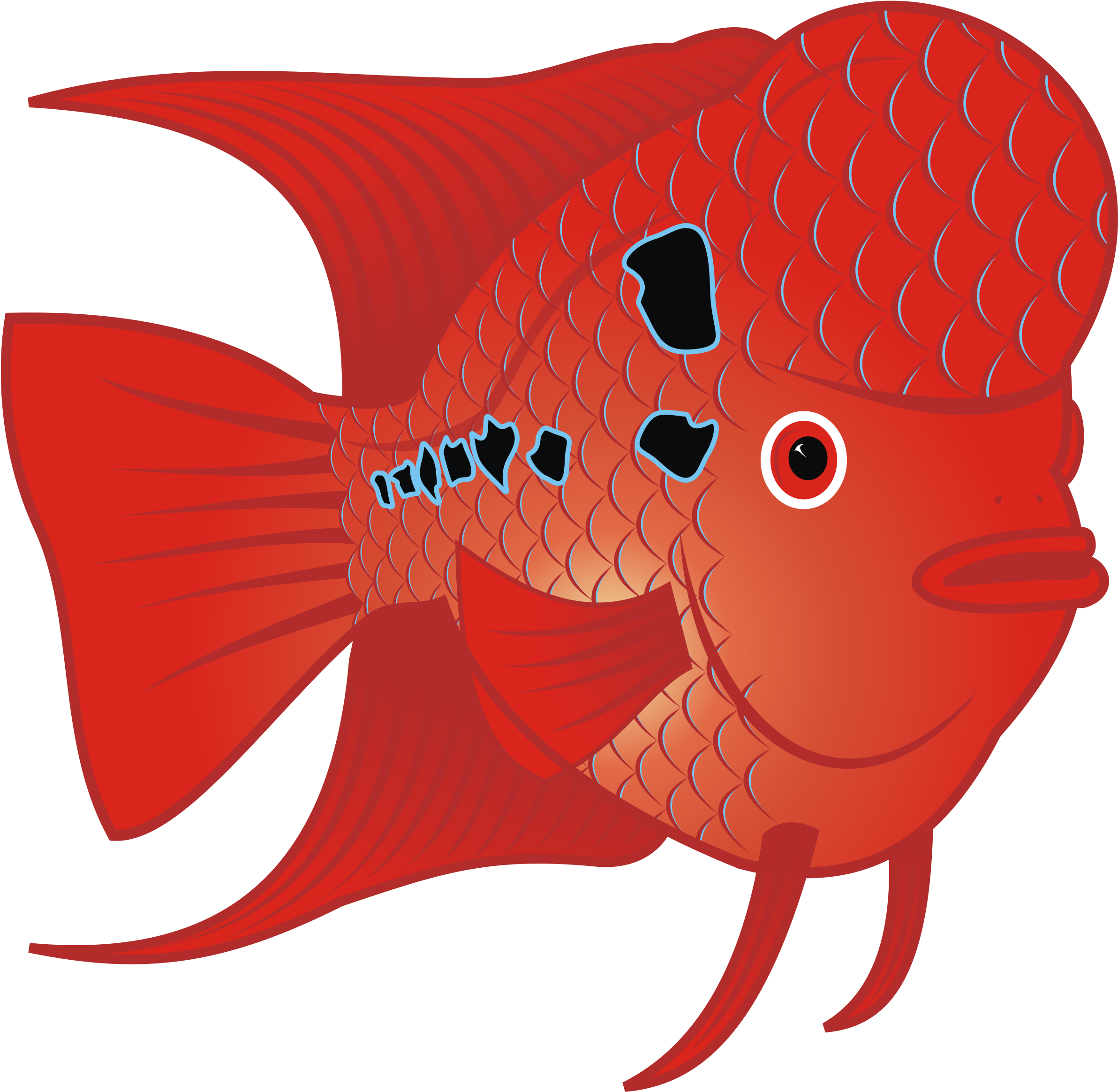 This Free Icons Png Design Of Red Goldfish - Flower Horn Fish Clip Art (2438x2400)