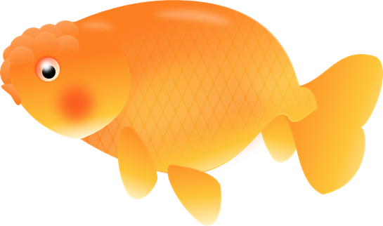 Gold Fish Orange Ranchu Royalty Free Clip Art A Small - Clipart Fish Orange Transparent Background (545x322)