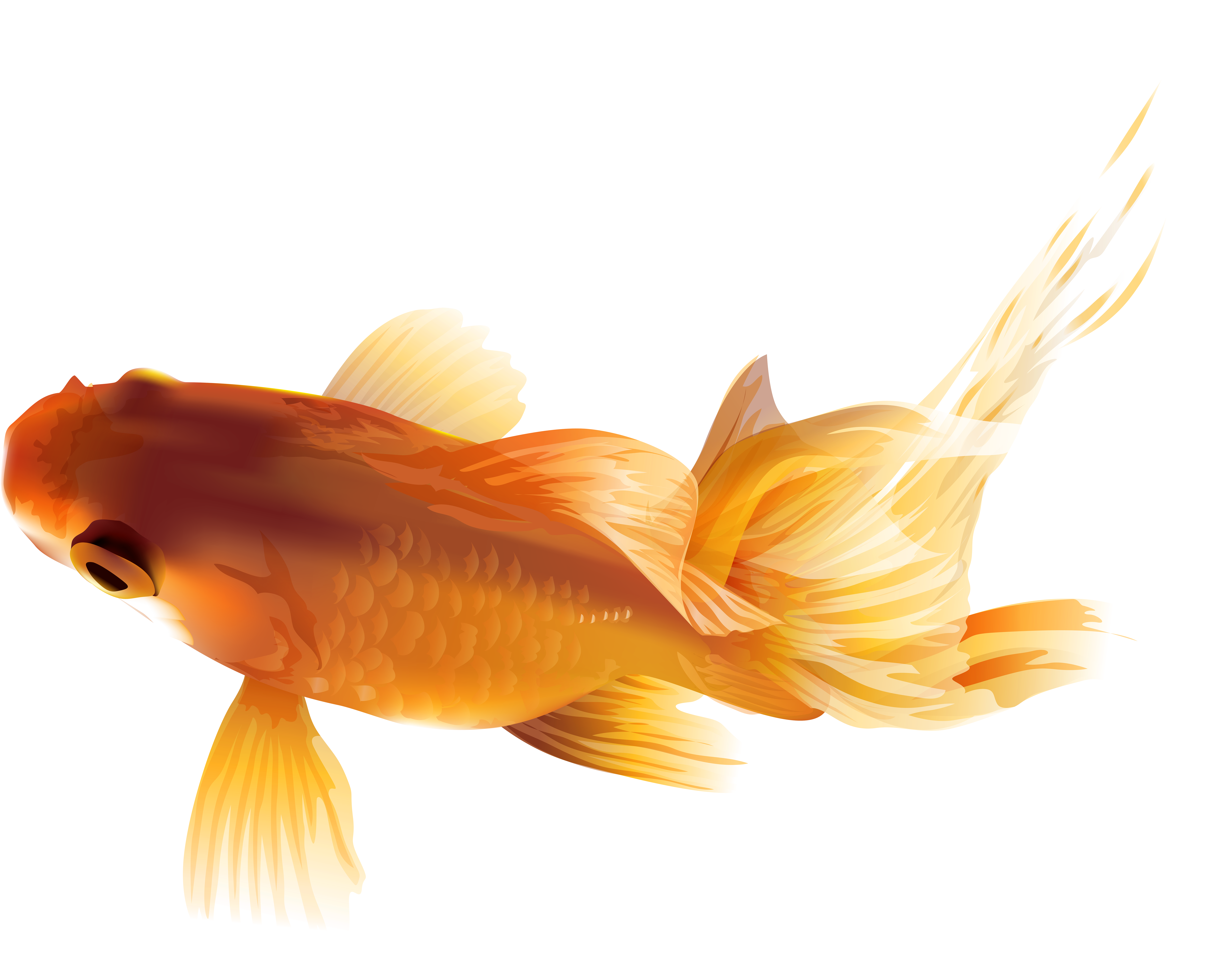 Gold Fish Clipart Saltwater Fish - Gold Fish Clipart Saltwater Fish (8000x6418)