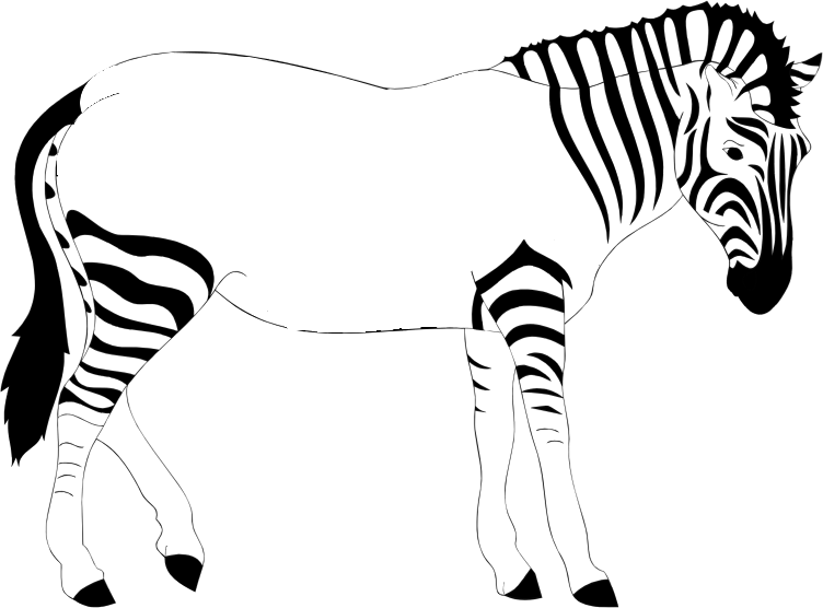 Print Out The Zebra - Realistic Zebra Clipart (752x556)