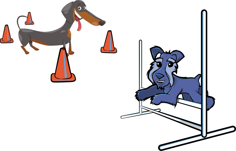 Medium Image - Dog Agility Clip Art (800x512)