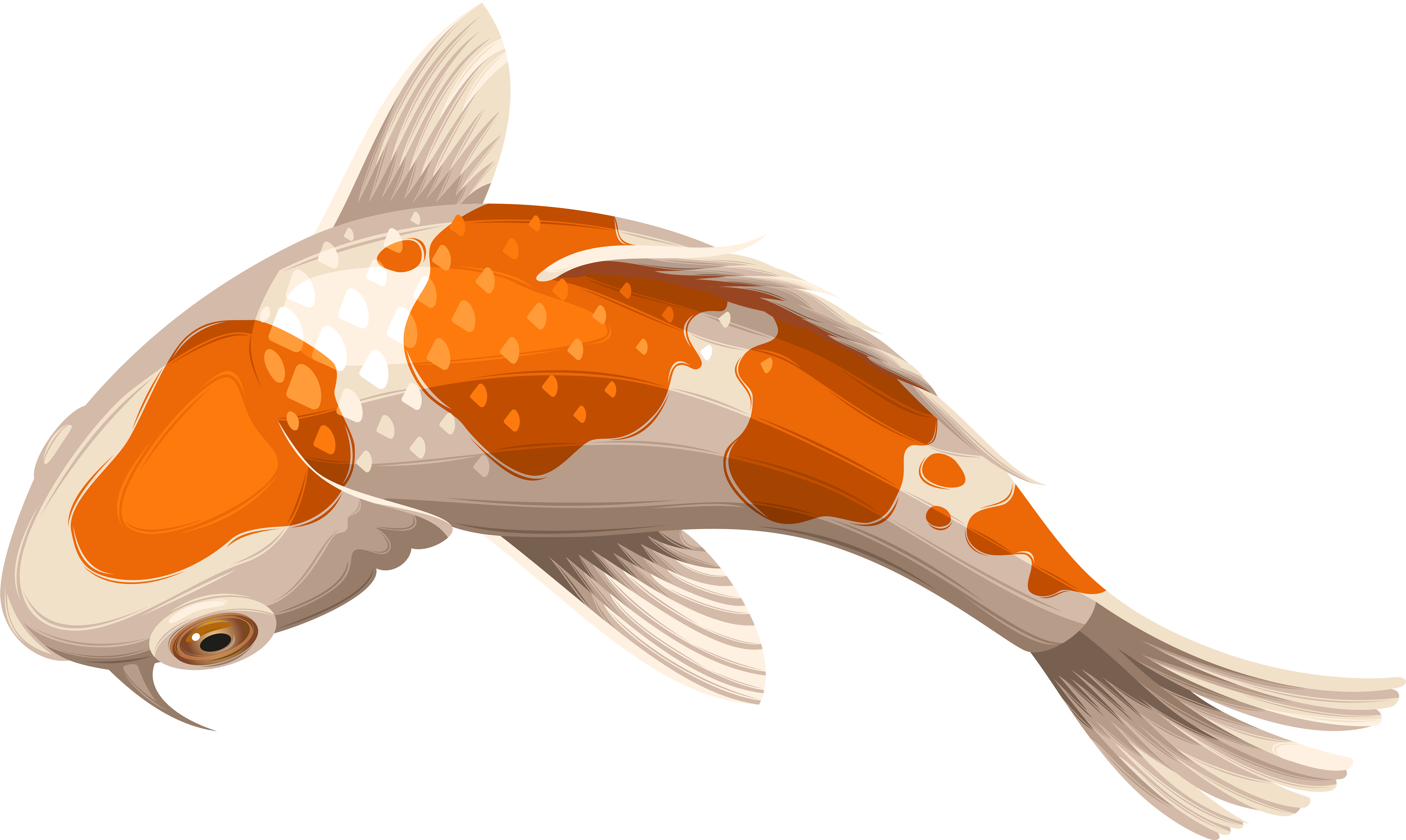 Goldfish Clipart Transparent Fish - Koi Fish Transparent (8000x4780)