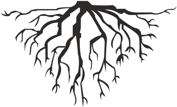 Root - Tree Roots (600x450)