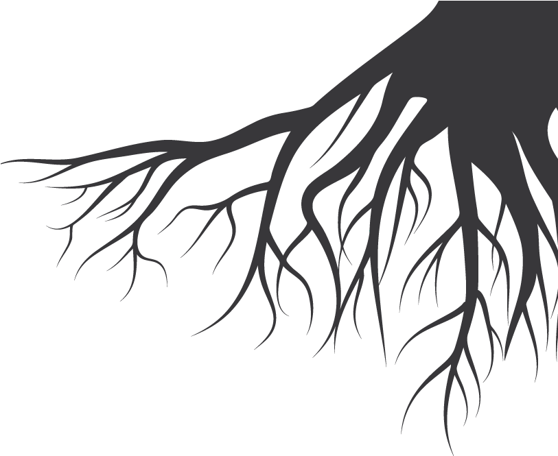 Bella Italia Genealogy Di Bovino Alessandrop - Family Tree Svg Free (826x664)