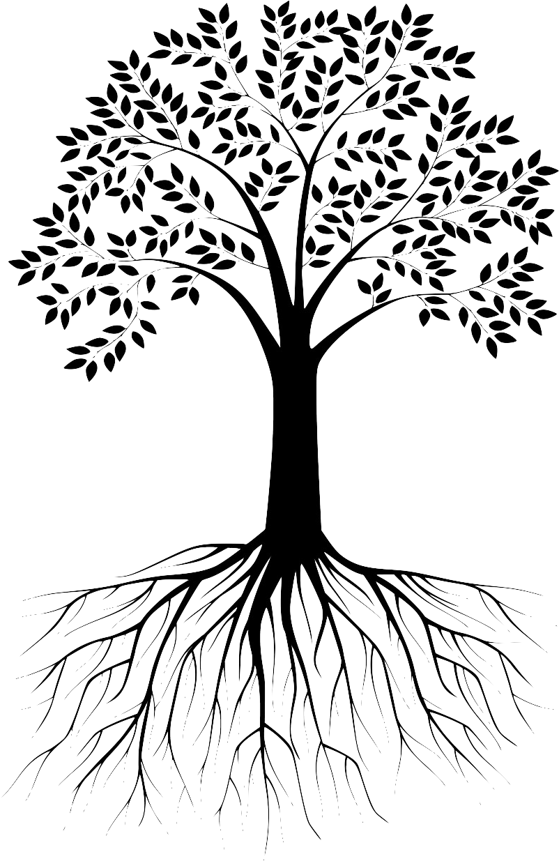 Roots - Tree With Roots Silhouette (843x1243)