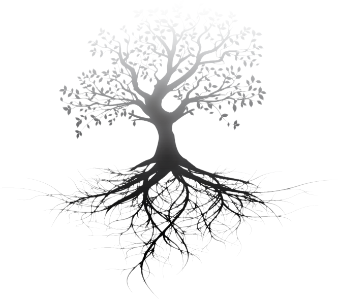 Norfolk Dental Hygiene Website - Faithful To Science: The Role Of Science (665x591)