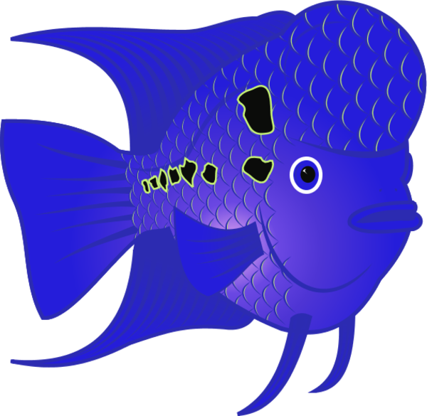 Flowerhorn Fish - Flower Horn Fish Clip Art (600x585)