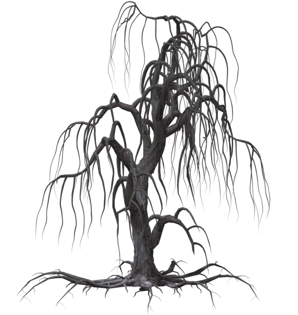 Creepy Tree 19 By Wolverine041269 On Clipart Library - Creepy Tree Drawing (1024x639)