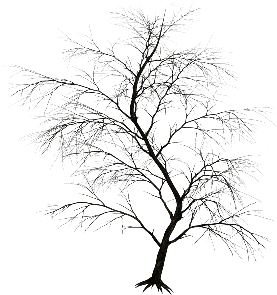 Flora Stock By Roy3d On Deviantart - Dark Tree Png (1024x1157)