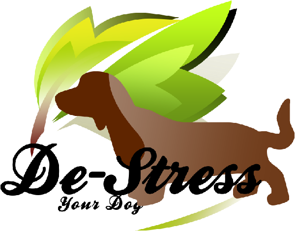 Stress Relief - Dad Est 2015 Wall Calendar (600x470)