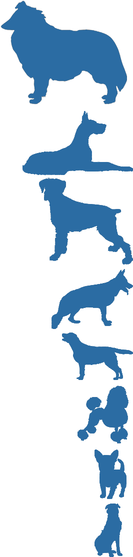 What - Isle Of Wight (435x1159)