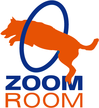 Zoom Room (914x379)