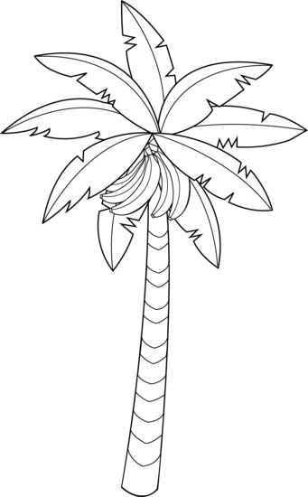 Banana Tree Clipart - Banana Tree Drawing Easy (341x550)