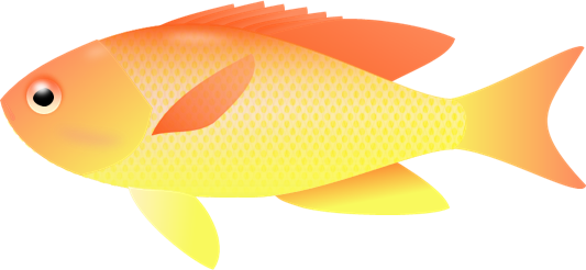 Transparent Fish Clipart - Transparent Background Fishes Clipart (533x246)