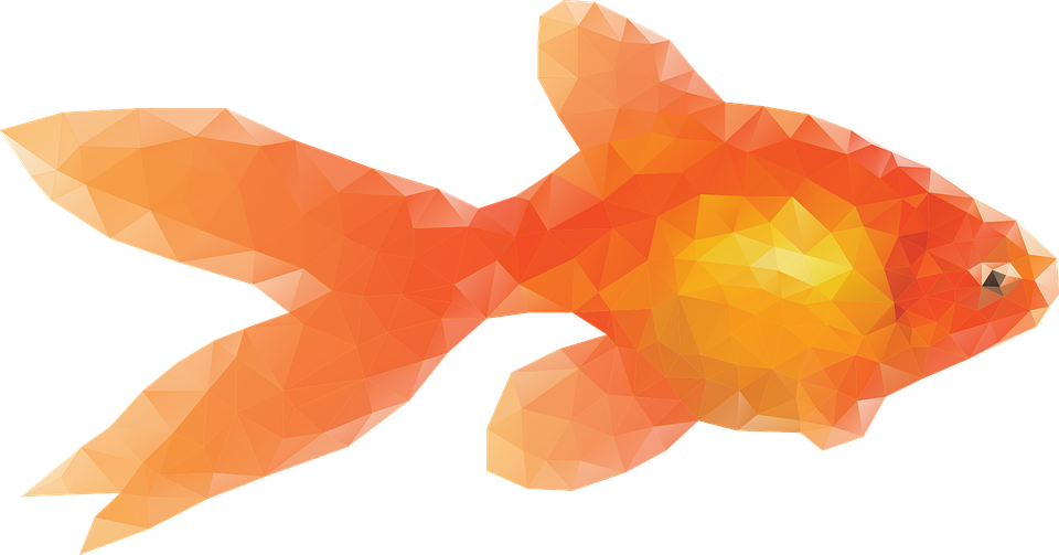Goldfish Clipart Transparent Fish - Low Poly Goldfish (960x503)