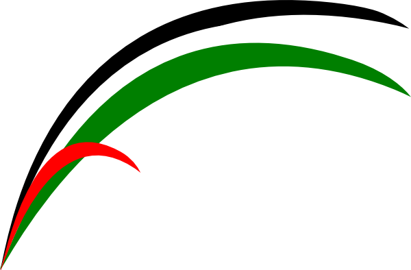 Freedom Palestine Png (600x394)