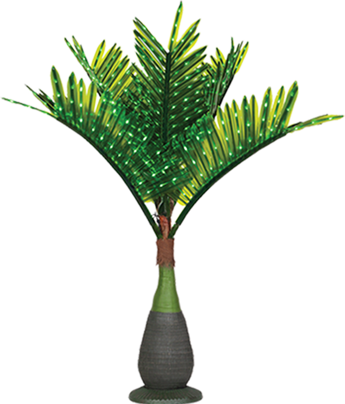 Lit Palm Trees - Lighted Palm Tree Outdoor (680x795)
