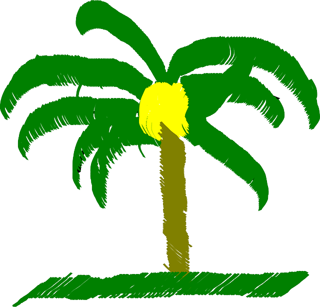 Tropical Palm Tree, Palm, Tree, Beach, Caribbean, Tropical - Palma De Cera De Colombia (640x614)
