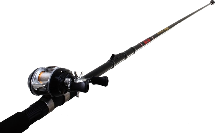 Fishing Rod Png Image - Fishing Poles Png (738x456)